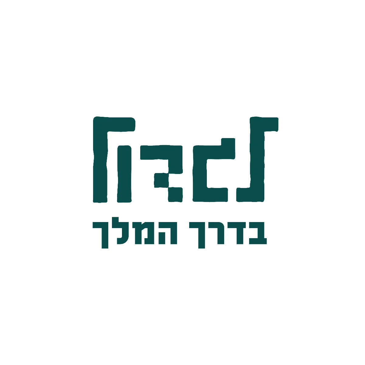 משה מאירי