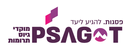 לוגו לקוח