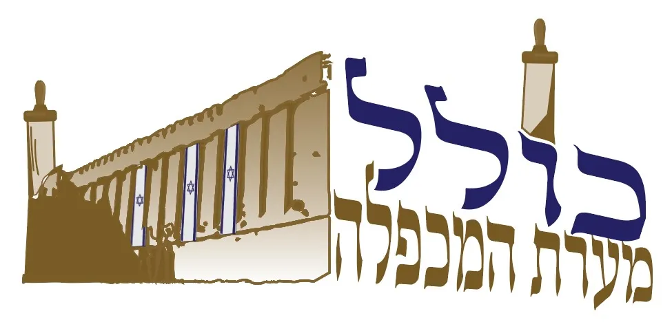 לוגו לקוח