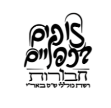 לוגו לקוח
