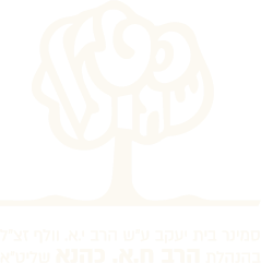 לוגו לקוח