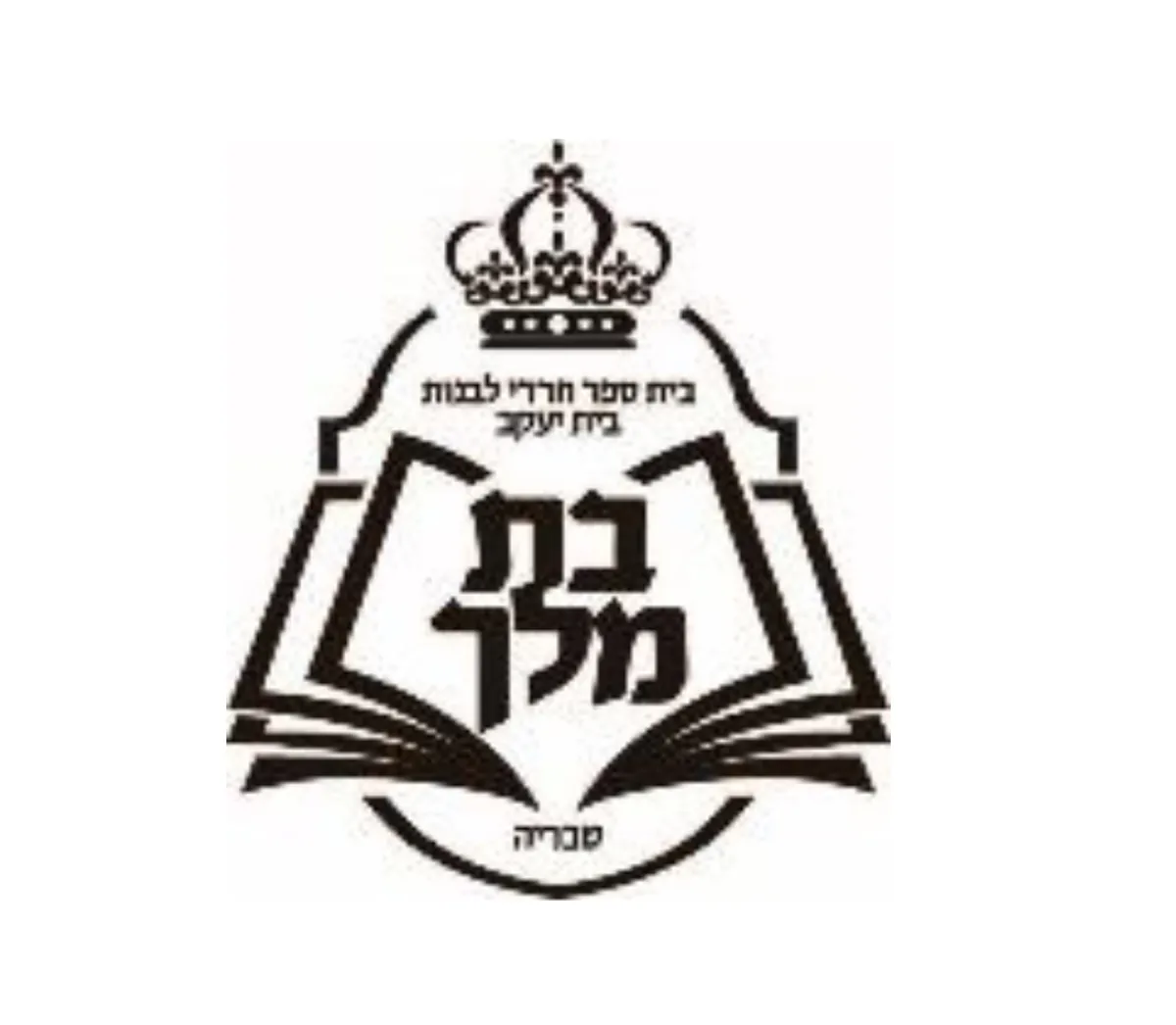 לוגו לקוח