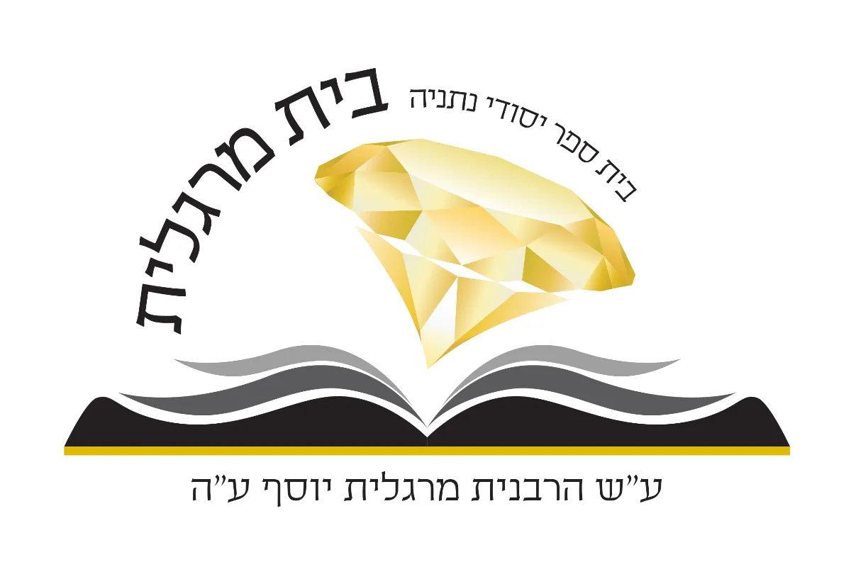 לוגו לקוח