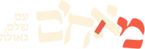 לוגו לקוח