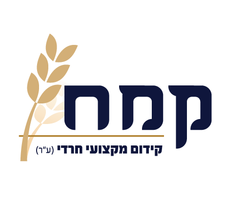 לוגו לקוח