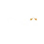 לוגו לקוח