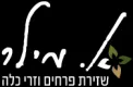 לוגו לקוח