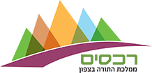 לוגו לקוח