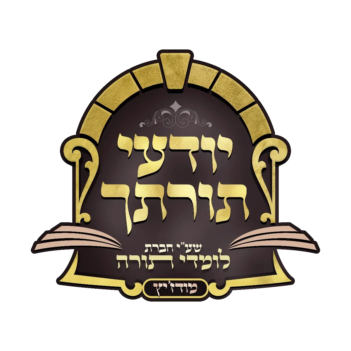 לוגו לקוח