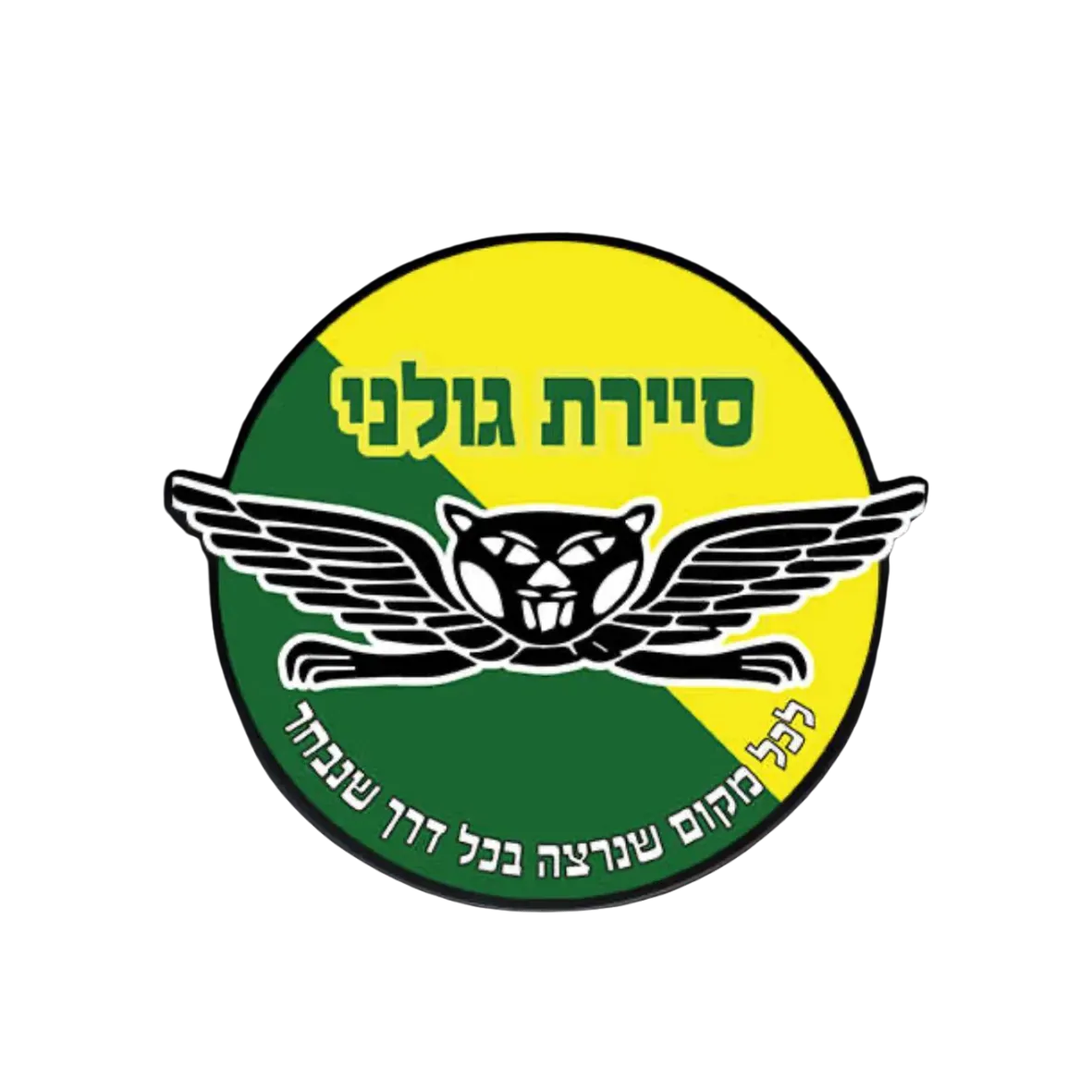 לוגו לקוח