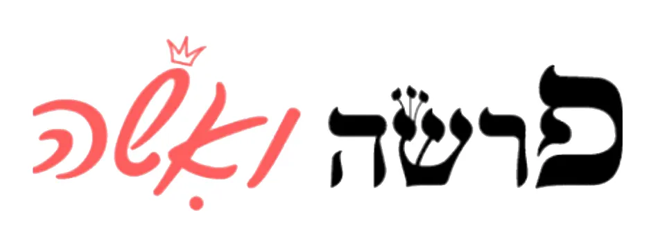 לוגו לקוח