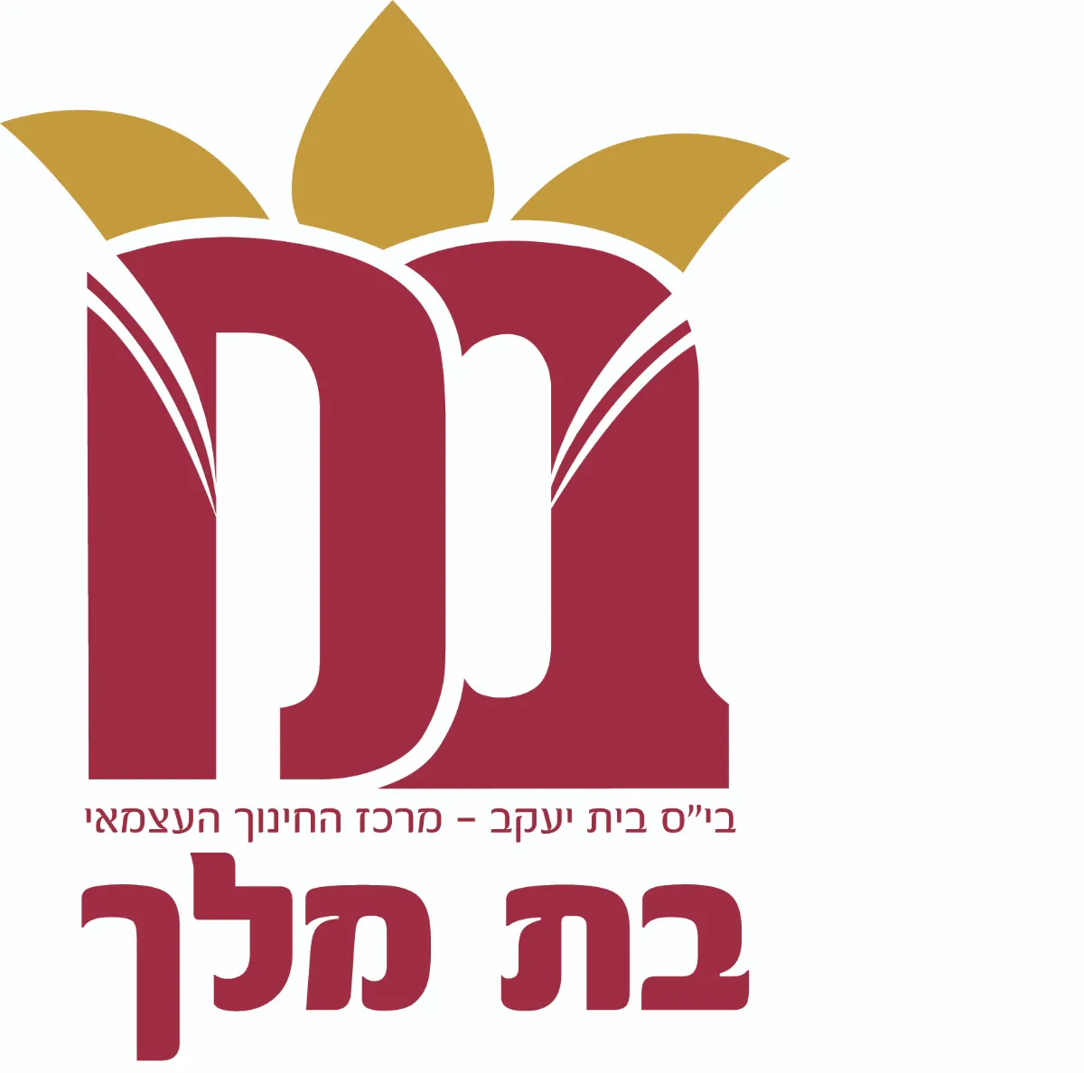 לוגו לקוח