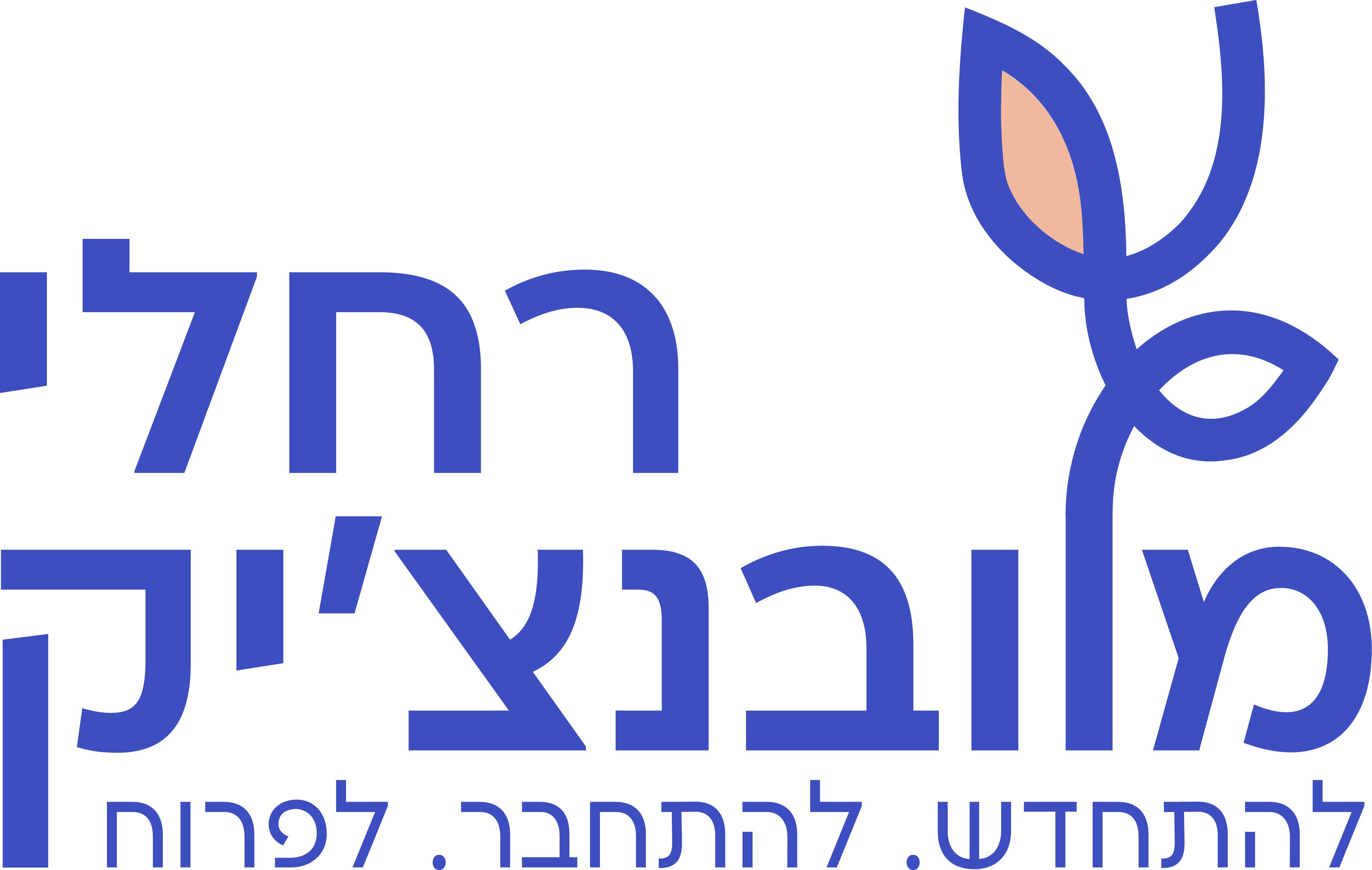 לוגו לקוח