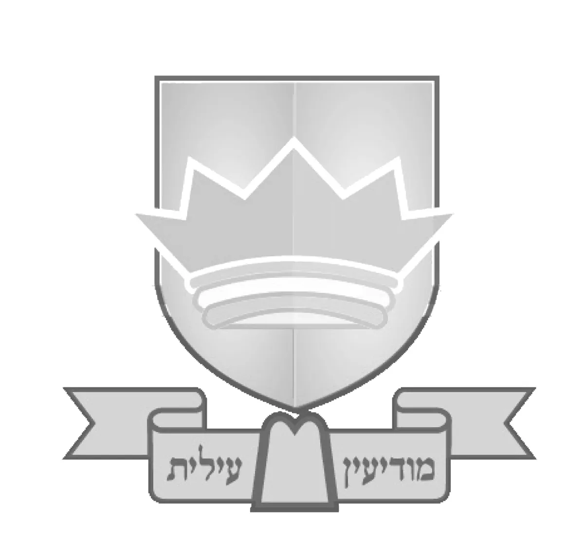 לוגו לקוח