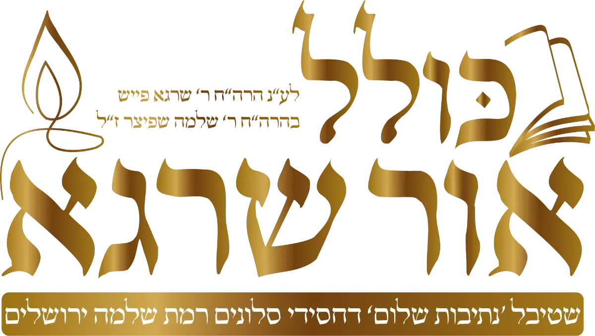 לוגו לקוח