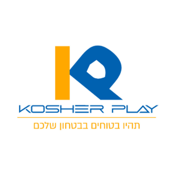 כושר פליי