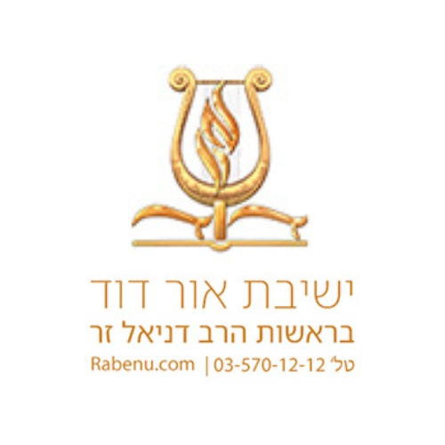 מוסדות אור דוד