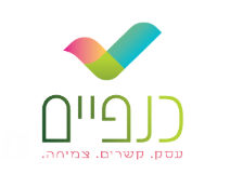 רחלי רוטנברג